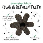 Bugalugs Dental Sticks - Natural Grain-Free Dog Chews