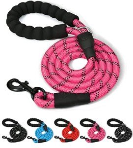 Reflective 5 FT Dog Leash with Padded Handle