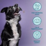 Burns Hypoallergenic Chicken & Rice Dog Food 12kg