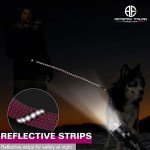 Reflective 5 FT Dog Leash with Padded Handle