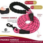 Reflective 5 FT Dog Leash with Padded Handle