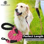 Reflective 5 FT Dog Leash with Padded Handle