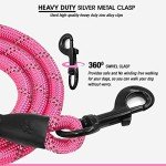 Reflective 5 FT Dog Leash with Padded Handle