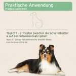 AniForte Ectoprotex: Natural Flea & Tick Treatment