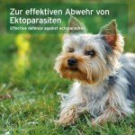 AniForte Ectoprotex: Natural Flea & Tick Treatment