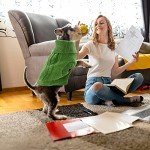 Cozy Knitted Turtleneck Sweater for Small Dogs