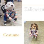 Funny Dog Halloween Costume with Scissors Design
