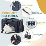 Airline Approved Soft Carrier for Small Dogs