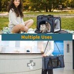Airline Approved Soft Carrier for Small Dogs