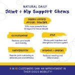 PupGrade Joint Support Chews for Healthy Dogs