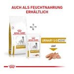 Royal Canin Urinary S/O for Senior Dogs - 3.5kg