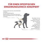 Royal Canin Urinary S/O for Senior Dogs - 3.5kg