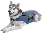 CozyVest® Dog Anxiety Relief Shirt with Music