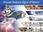 CozyVest® Dog Anxiety Relief Shirt with Music