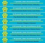 CozyVest® Dog Anxiety Relief Shirt with Music