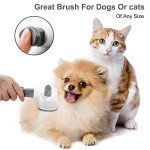 Self-Cleaning Dog and Cat Grooming Brush