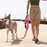 Adjustable Dog Car Seat Belt with Bungee Buffer