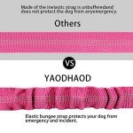 Adjustable Dog Car Seat Belt with Bungee Buffer