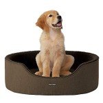 Reversible Washable Dog Bed with Brown Cushion