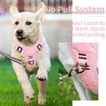 Pink No-Pull Dog Harness with Soft Handle