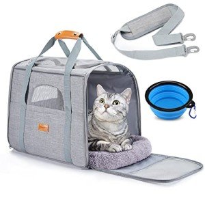 Airline Approved Pet Carrier for Dogs & Cats