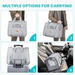 Airline Approved Pet Carrier for Dogs & Cats