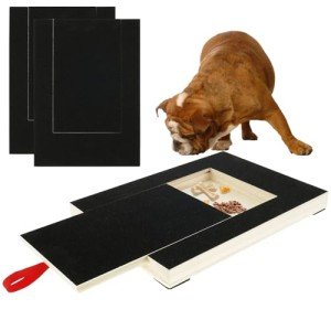 Wooden Dog Nail File Board with Snack Box