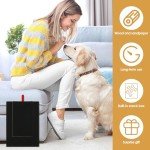 Wooden Dog Nail File Board with Snack Box