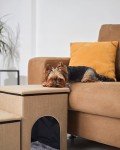 Multifunctional Pet Stairs with Storage for Dogs
