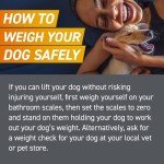 FRONTPRO® Flea & Tick Chewable Tablets for Dogs