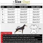 Cozy Sherpa Fleece Dog Sweater Vest - Blue