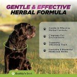 Natural Herbal Dewormer for Dogs – Gut Health Support