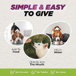 Natural Herbal Dewormer for Dogs – Gut Health Support