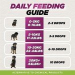 Natural Herbal Dewormer for Dogs – Gut Health Support