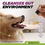 Natural Herbal Dewormer for Dogs – Gut Health Support