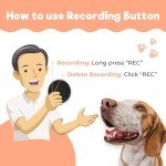 Dog Paw Talking Buttons Training Set - 4 Pack