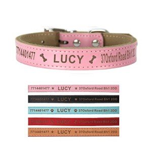 Personalized Leather Dog Collars in Various Colors