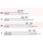 Personalized Leather Dog Collars in Various Colors