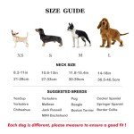 Personalized Leather Dog Collars in Various Colors