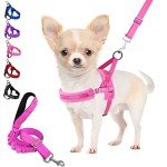 Adjustable Anti-Pull Dog Harness with Reflective Lead