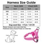 Adjustable Anti-Pull Dog Harness with Reflective Lead