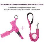 Adjustable Anti-Pull Dog Harness with Reflective Lead