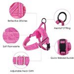 Adjustable Anti-Pull Dog Harness with Reflective Lead