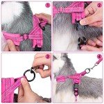Adjustable Anti-Pull Dog Harness with Reflective Lead