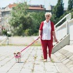 Adjustable Anti-Pull Dog Harness with Reflective Lead