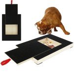 Dog Nail Scratch Pad with Treat Box
