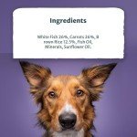 Burns Natural Wild Fish & Brown Rice Dog Food