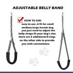 Adjustable Dog Grooming Belly Band & Loop Set