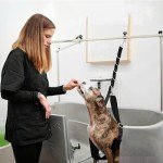 Adjustable Dog Grooming Harness - Pink Strap Set