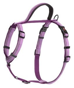 Purple Lightweight Dog Harness with Handle & Reflective Straps
